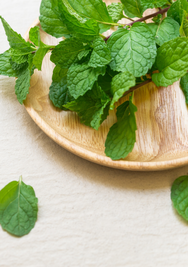 foods to improve digestion