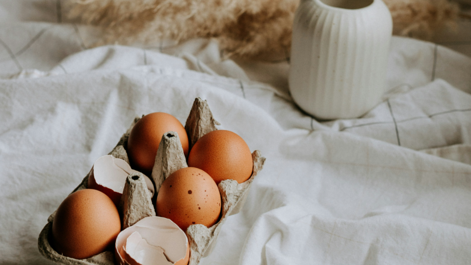 Top Breakfast Foods for Weight Loss