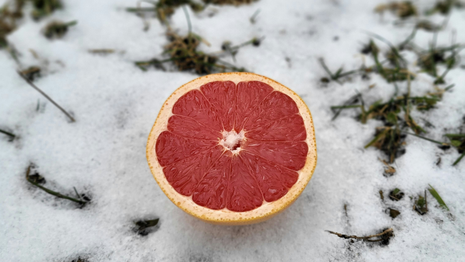 Best Breakfast Foods for Weight Loss