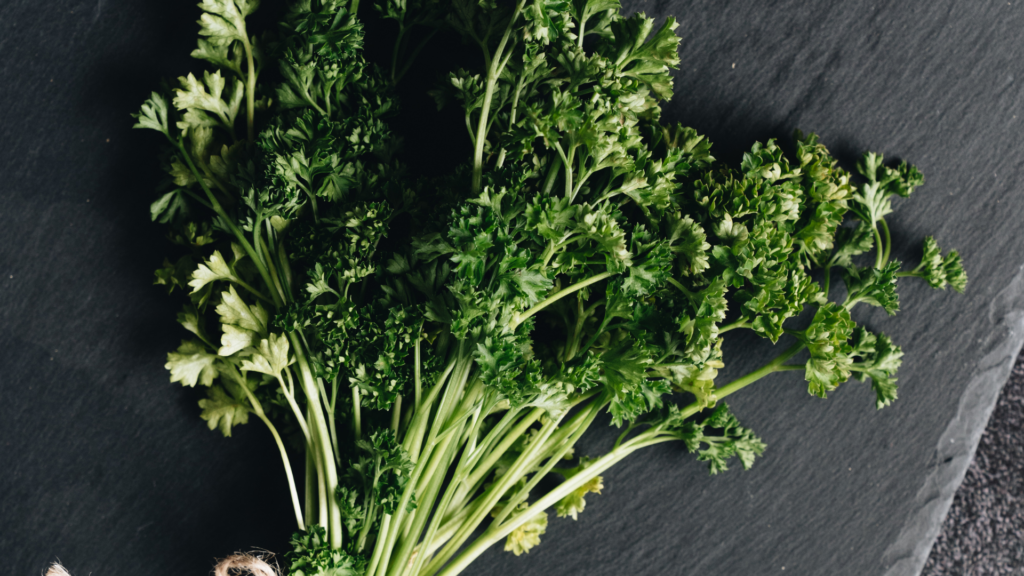 Foods to Boost Your Immune Health