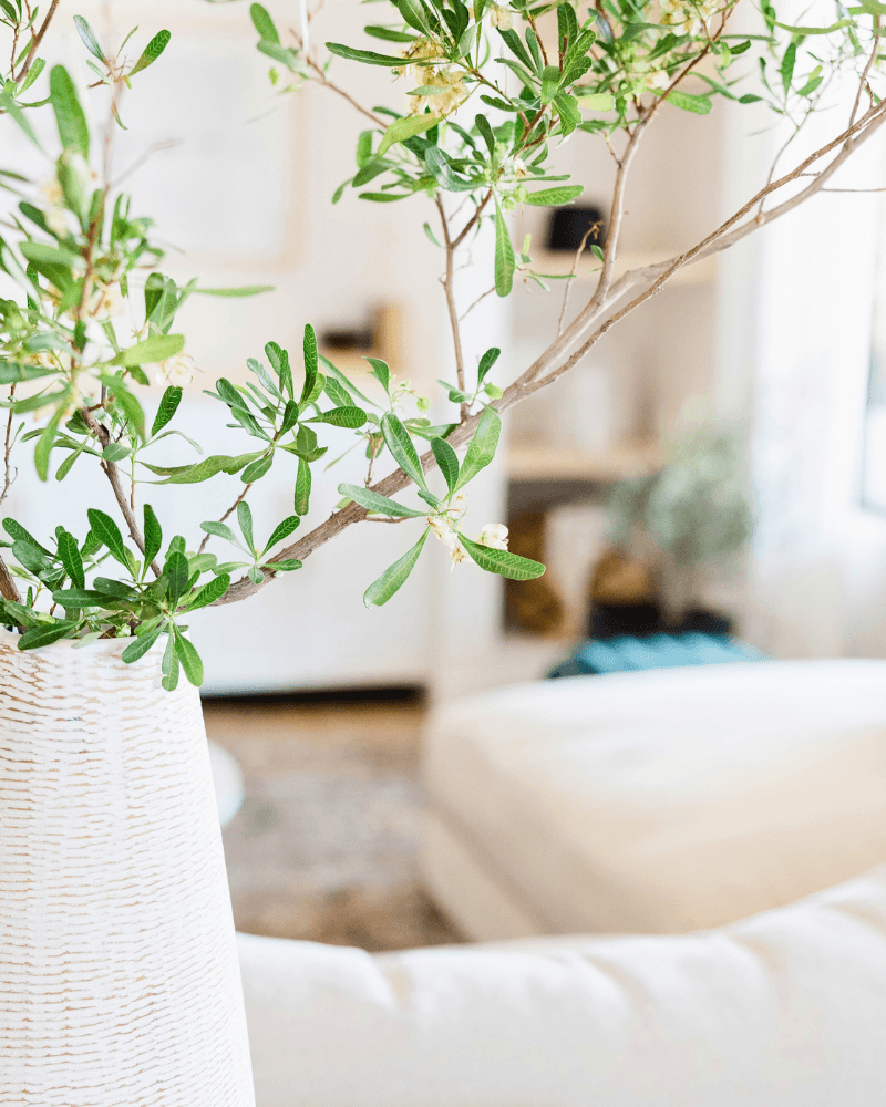 7 Tips for Intentional Living