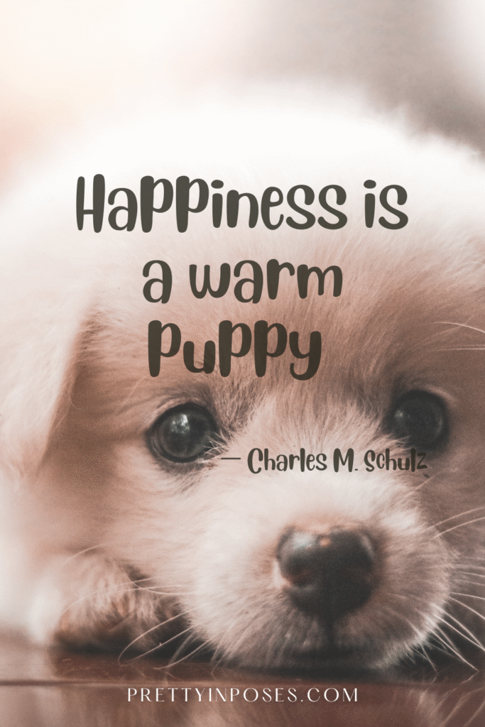 quotes about happiness